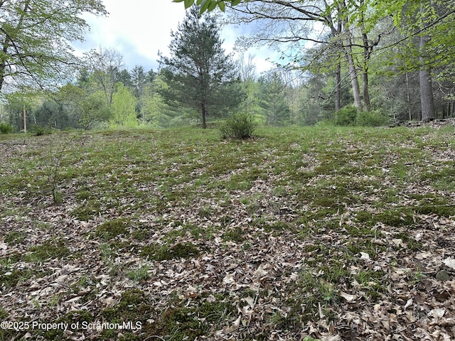 River Rd Unit 2, Damascus, PA 18415
