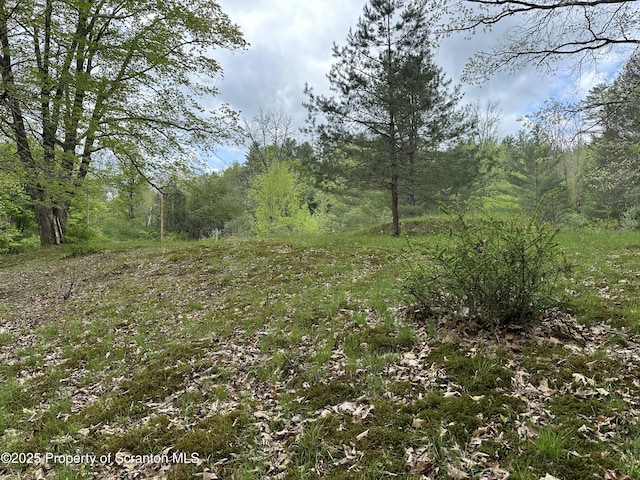 River Rd Unit 2, Damascus, PA 18415