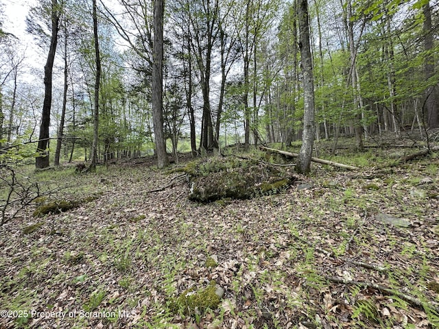 River Rd Unit 2, Damascus, PA 18415