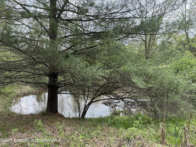 River Rd Unit 2, Damascus, PA 18415