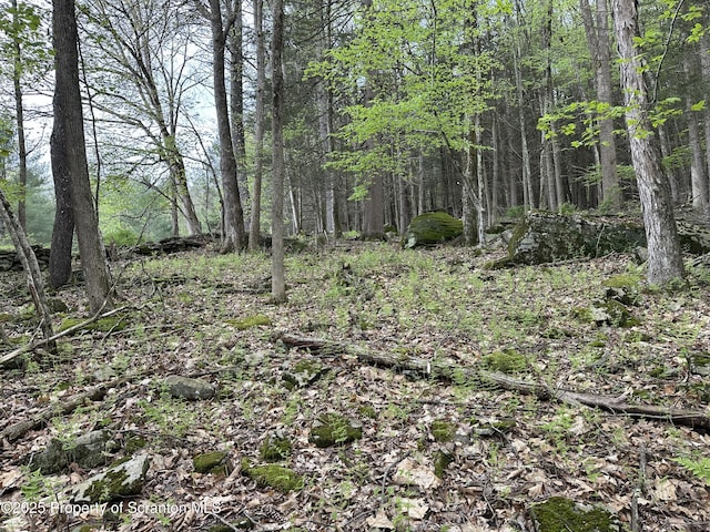 River Rd Unit 2, Damascus, PA 18415