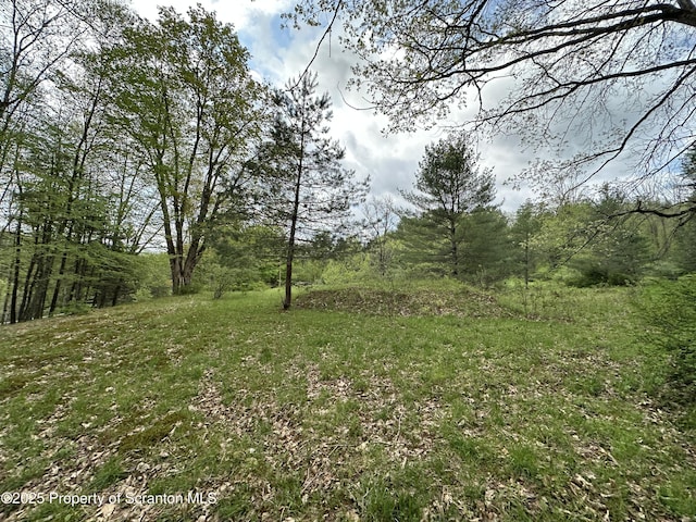 River Rd Unit 2, Damascus, PA 18415
