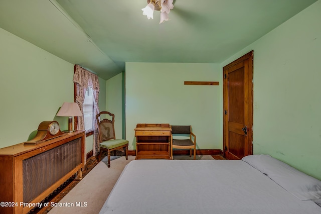 bedroom with lofted ceiling