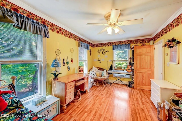 office area featuring light hardwood / wood-style flooring, ceiling fan, and crown molding