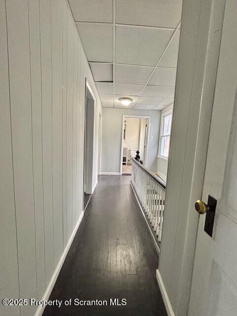 hall with a paneled ceiling, dark wood-style floors, baseboards, and wood walls