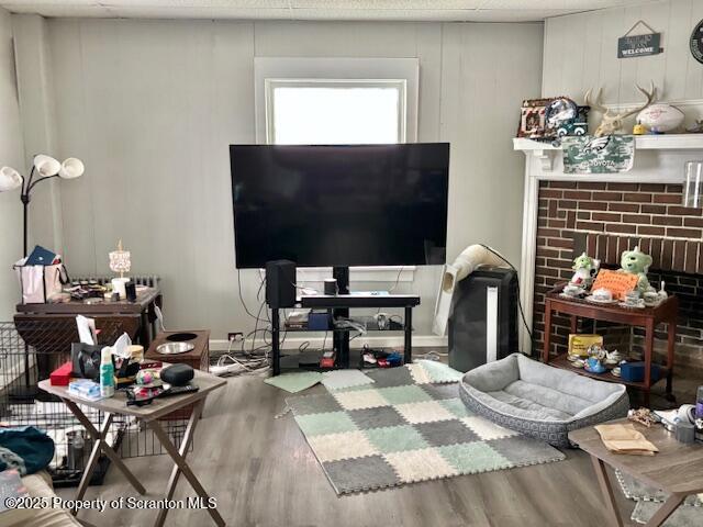 living room featuring a fireplace and wood finished floors