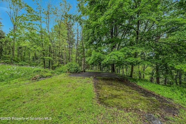 837 Old State Rd, Waverly Twp, PA 18411 - view of yard with a forest view
