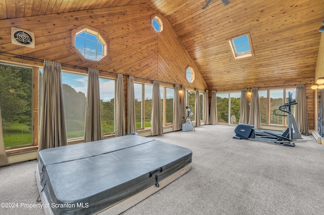 unfurnished sunroom featuring a healthy amount of sunlight and lofted ceiling with skylight