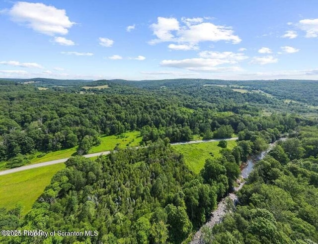Town Hill Rd, Prompton, PA 18456