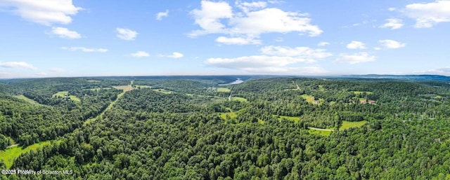 Town Hill Rd, Prompton, PA 18456