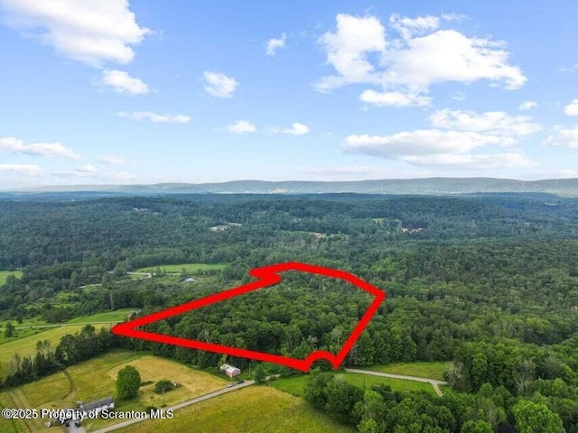 Town Hill Rd, Prompton, PA 18456