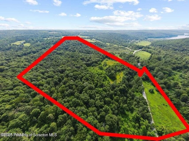Town Hill Rd, Prompton, PA 18456