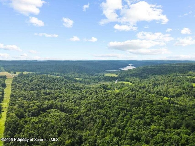 Town Hill Rd, Prompton, PA 18456