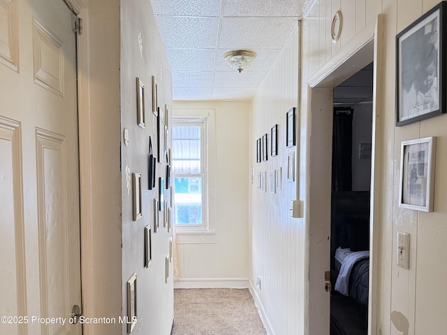 hall featuring wooden walls, a drop ceiling, and light colored carpet