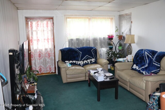 74 Matthews Rd, Spring Brook Twp, PA 18444 - view of carpeted living room