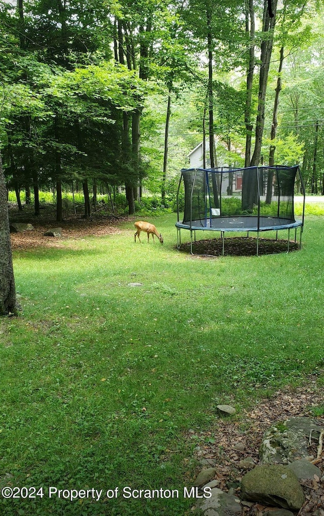 view of yard with a trampoline