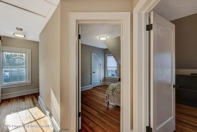 hall featuring hardwood / wood-style flooring, baseboards, and a wealth of natural light