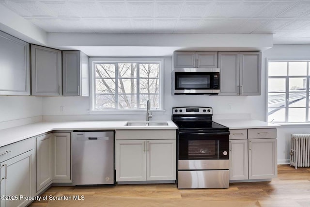 kitchen featuring sink, radiator heating unit, stainless steel appliances, and light wood-type flooring