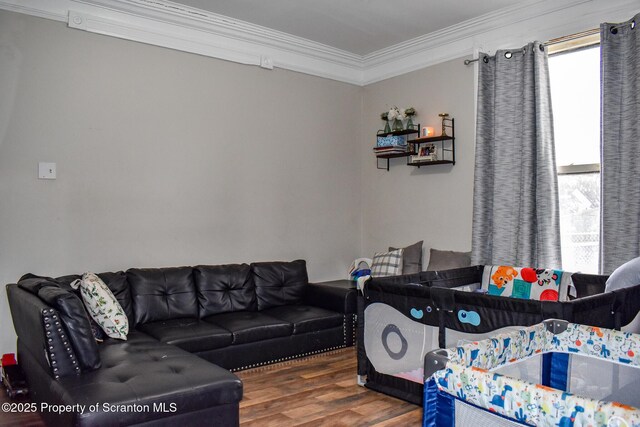 living area with ornamental molding and wood finished floors