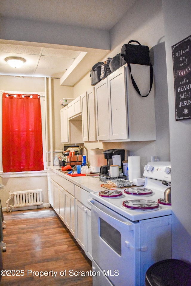 640 Alder St, Scranton, PA 18505 - kitchen featuring electric range, radiator, a sink, light countertops, and white cabinets
