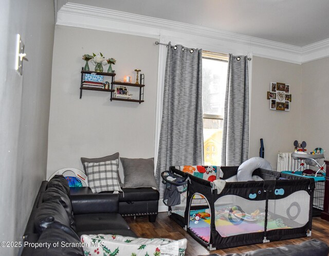 living area featuring ornamental molding and wood finished floors