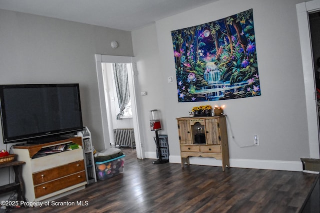 640 Alder St, Scranton, PA 18505 - living room featuring radiator, wood finished floors, and baseboards