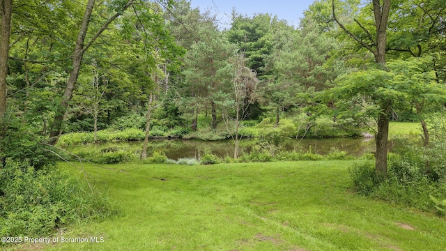 321 Cantone Rd, Montrose, PA 18801 - photo 32