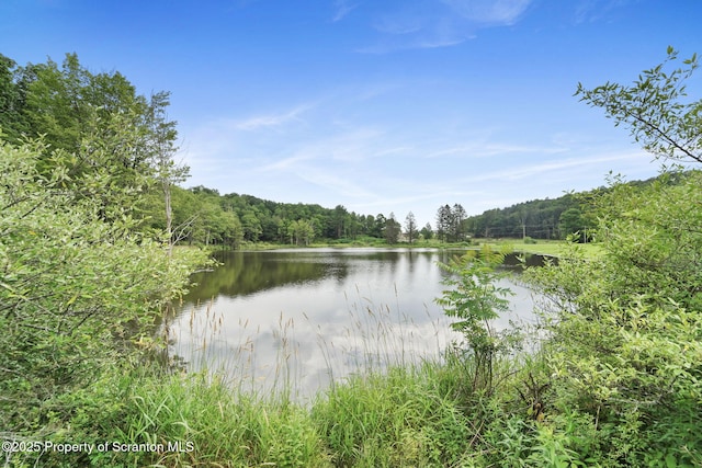 321 Cantone Rd, Montrose, PA 18801 - photo 4