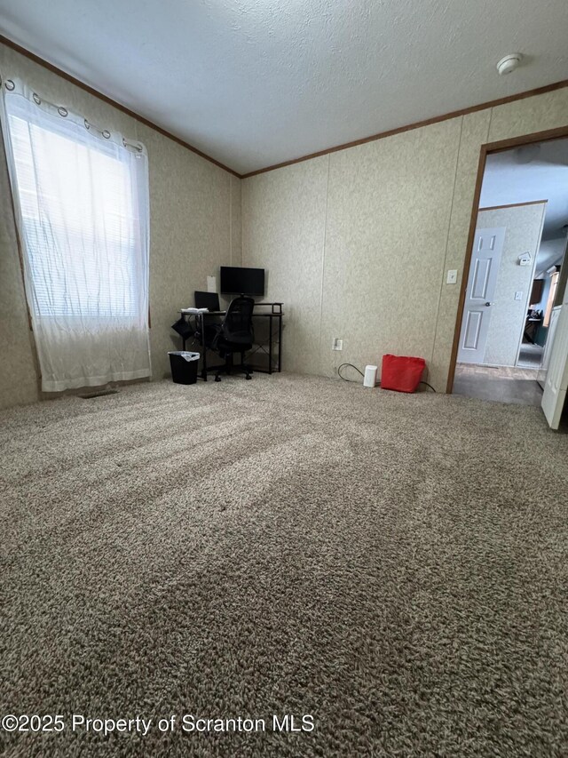 office area featuring a textured ceiling, carpet floors, and crown molding