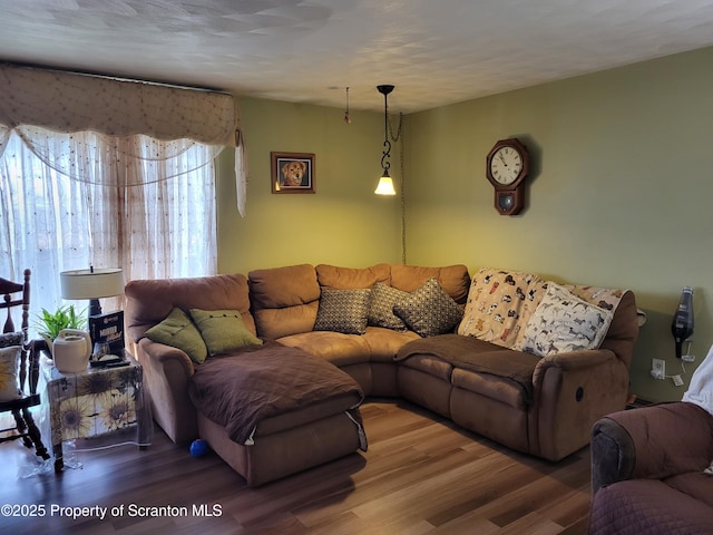 living room with wood finished floors