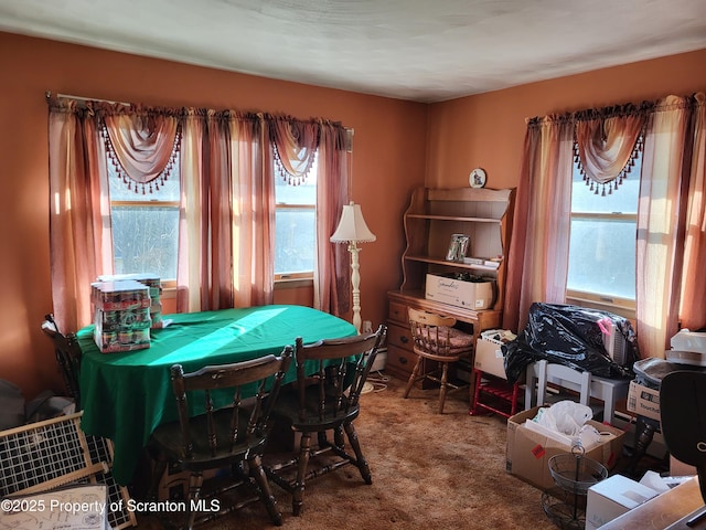 playroom with carpet