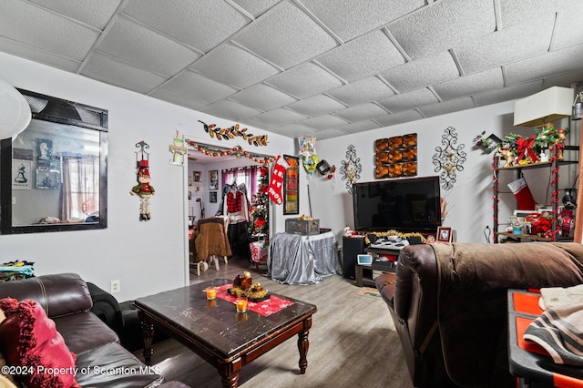 living room with hardwood / wood-style floors