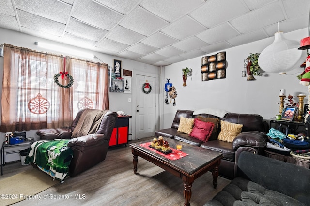 living room featuring a drop ceiling and hardwood / wood-style flooring