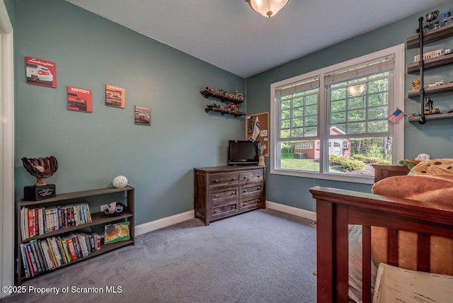 268 Winship Rd, Covington Twp, PA 18444 - bedroom with baseboards and carpet flooring
