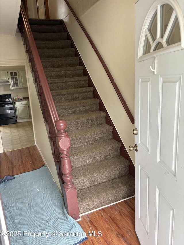 1028 Crown Ave Unit L 27, Scranton, PA 18505 - photo 12