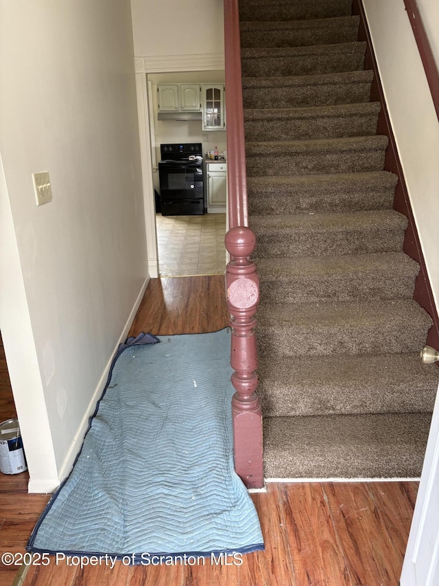 1028 Crown Ave Unit L 27, Scranton, PA 18505 - photo 11
