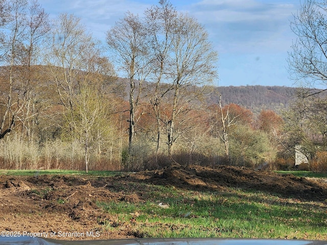 742 May Rd, Thompson, PA 18465