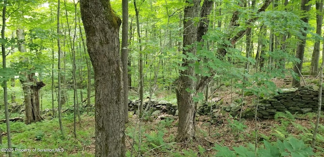 742 May Rd, Thompson, PA 18465