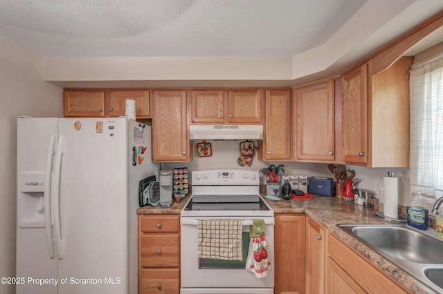 461-463 N Dexter Ave, Scranton, PA 18504 - photo 29