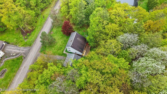 67 Smith Dr, Hallstead, PA 18822 - view from above of property