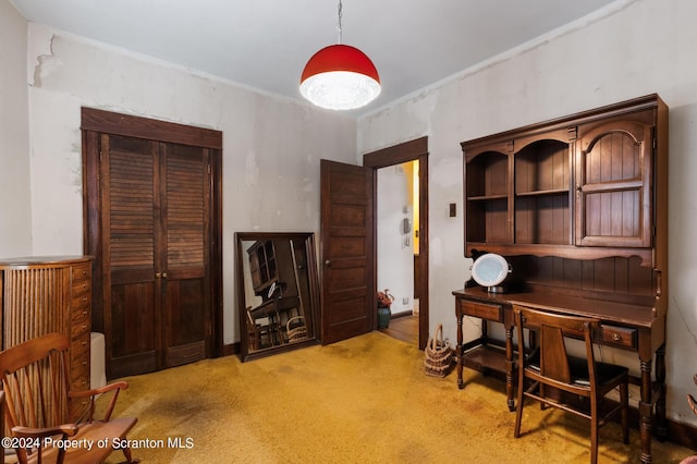 home office featuring light colored carpet