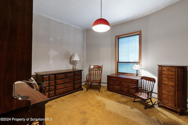 living area with carpet