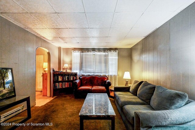 942 Providence Rd, Scranton, PA 18508 - carpeted living room featuring arched walkways and wooden walls