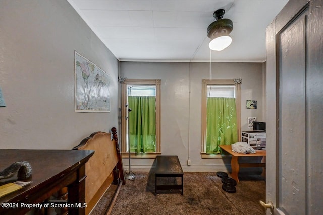 942 Providence Rd, Scranton, PA 18508 - carpeted entrance foyer featuring healthy amount of natural light, baseboards, and ornamental molding