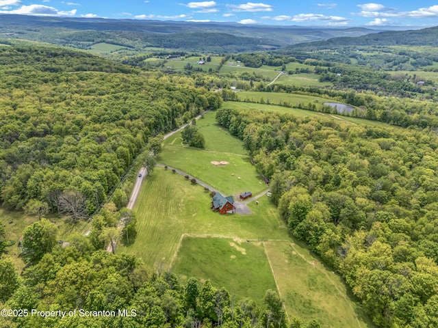 803 Paye Hill Rd, Union Dale, PA 18470 - photo 14