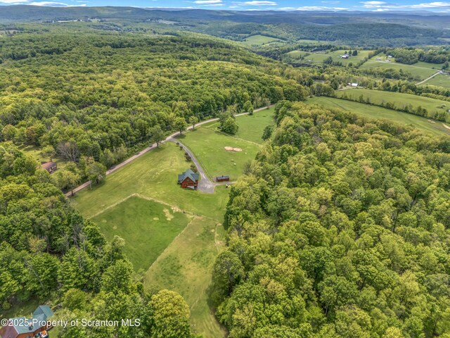 803 Paye Hill Rd, Union Dale, PA 18470 - photo 22