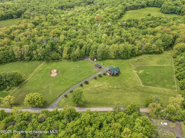 803 Paye Hill Rd, Union Dale, PA 18470 - photo 19
