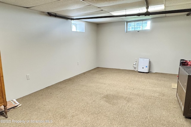 below grade area with carpet flooring