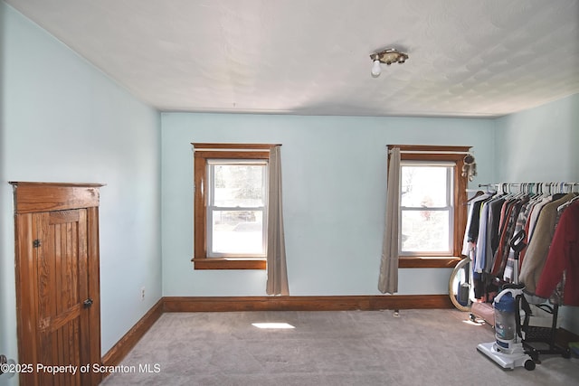 interior space featuring baseboards, carpet, and a wealth of natural light