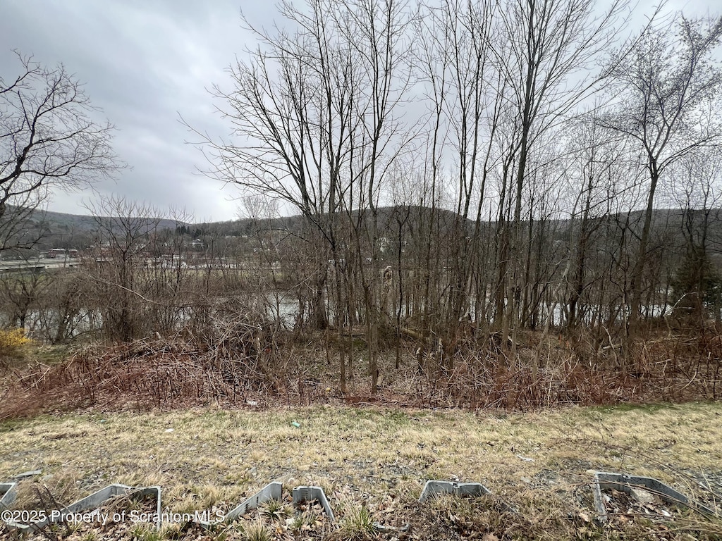 River St, Oakland, PA 18847 - photo 2
